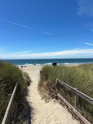 A sandy beach path leading to the ocean with tall grass on either side and a wooden fence.