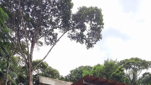 A modern two-story house with a concrete exterior, a wooden staircase, and a covered porch area. - Studio Flor do Mato (Itapema)