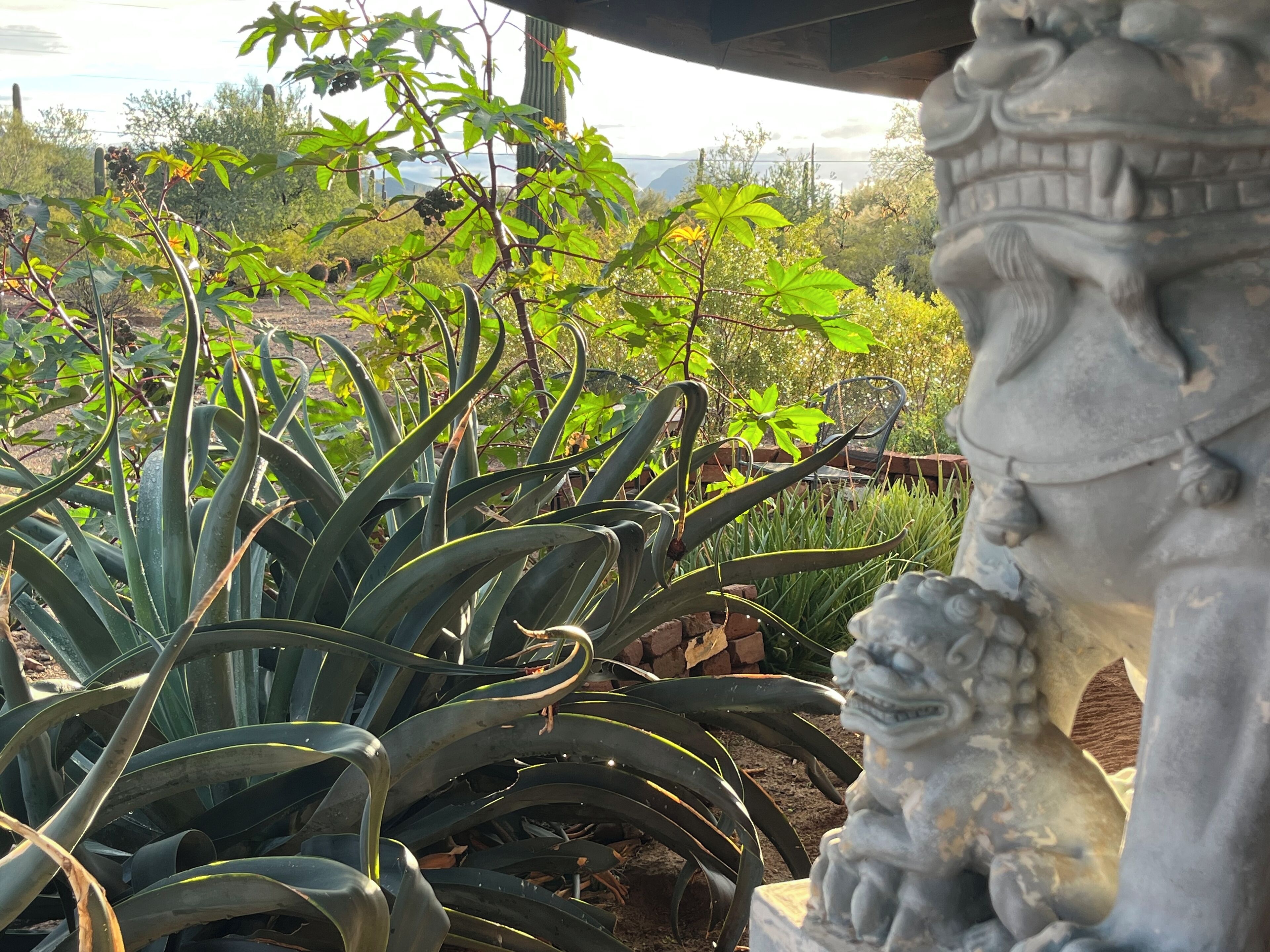 A garden with large green plants and a stone statue.