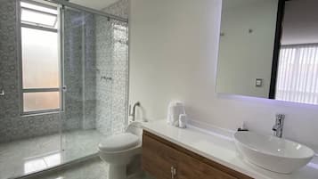 Secadora de cabello, toallas, jabón, papel de baño