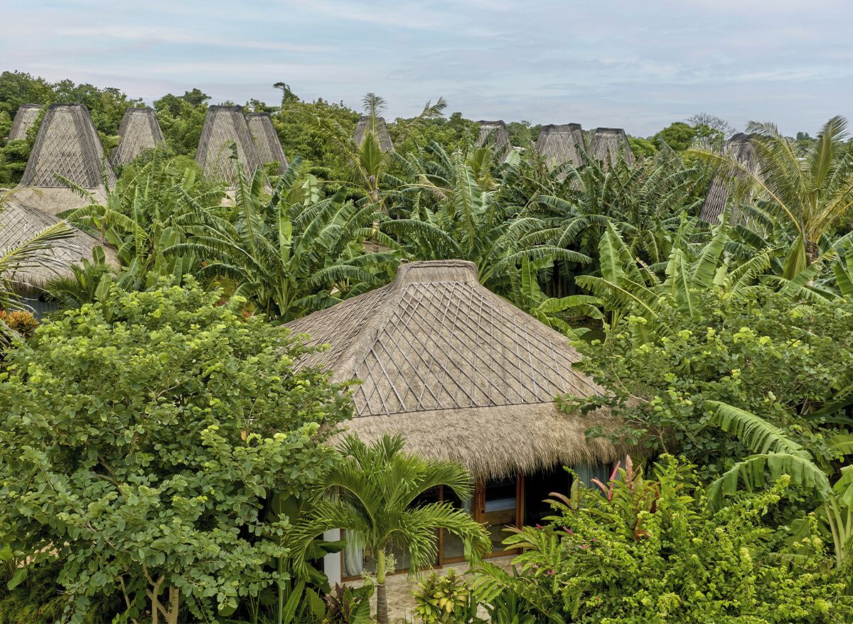Uma construção com telhado de palha cercada por vegetação tropical densa.
