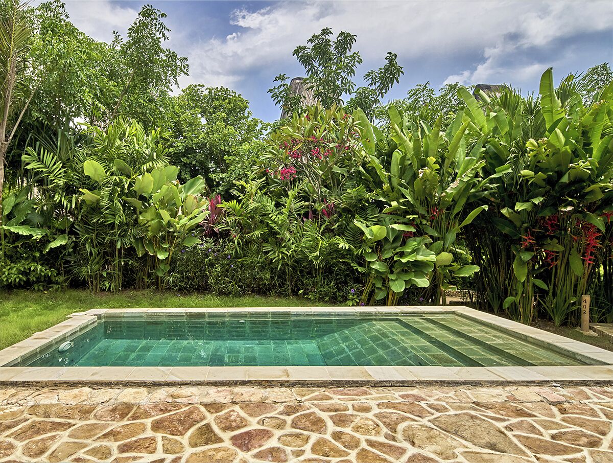 A rectangular pool with a stone border, surrounded by lush greenery and a clear sky.