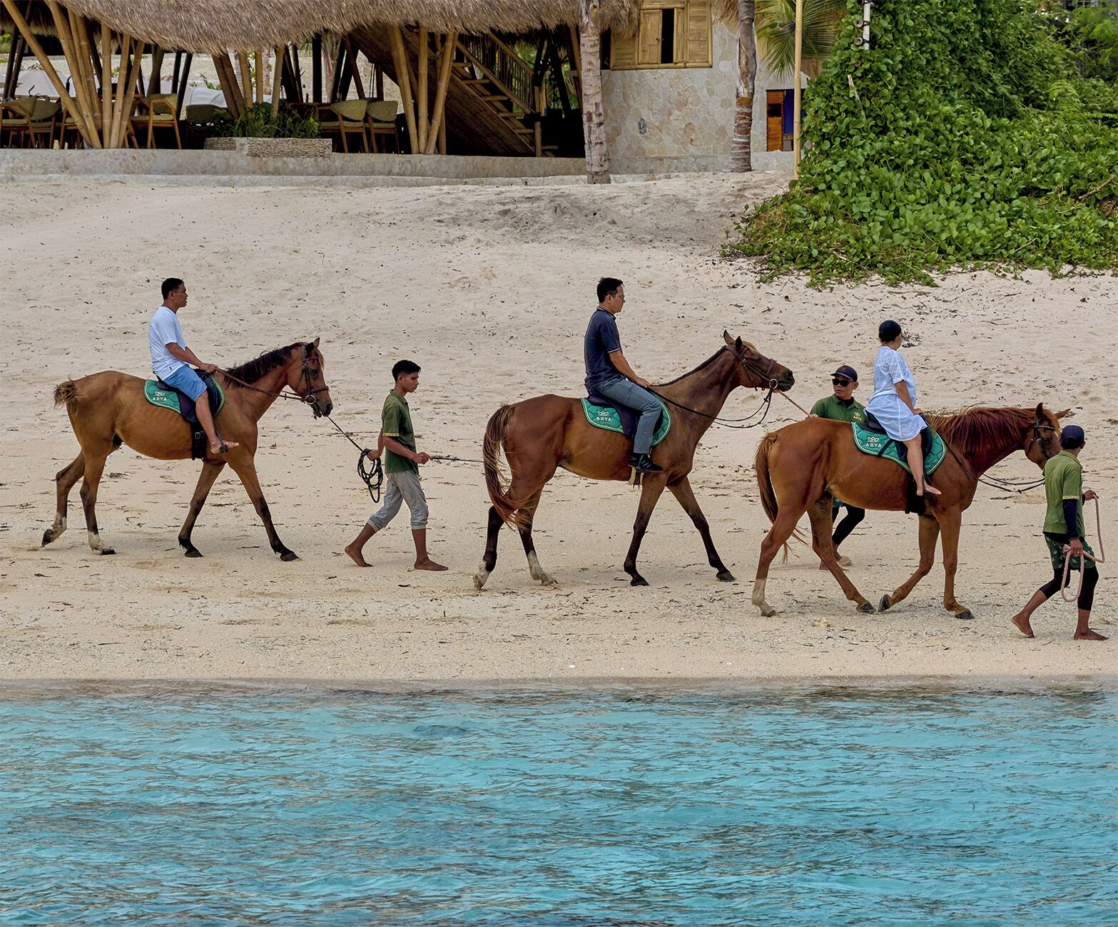 Une scène de plage où l’on voit des personnes à cheval.