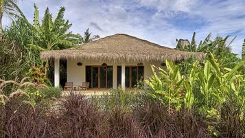 A bungalow with a thatched roof, surrounded by tropical vegetation.
