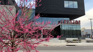 A modern building with a sign reading "THEATRE" and a tree with pink blossoms in front.