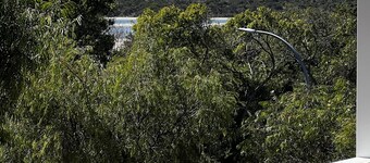  Brand new elevated spacious  3 bedroom house walking distance to all amenities.