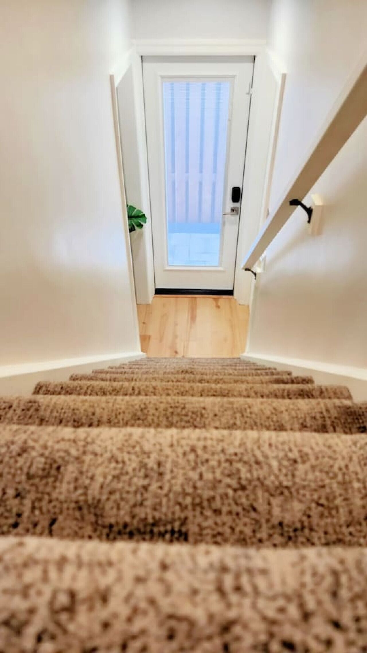 A carpeted staircase leading to a door with a view of a balcony.
