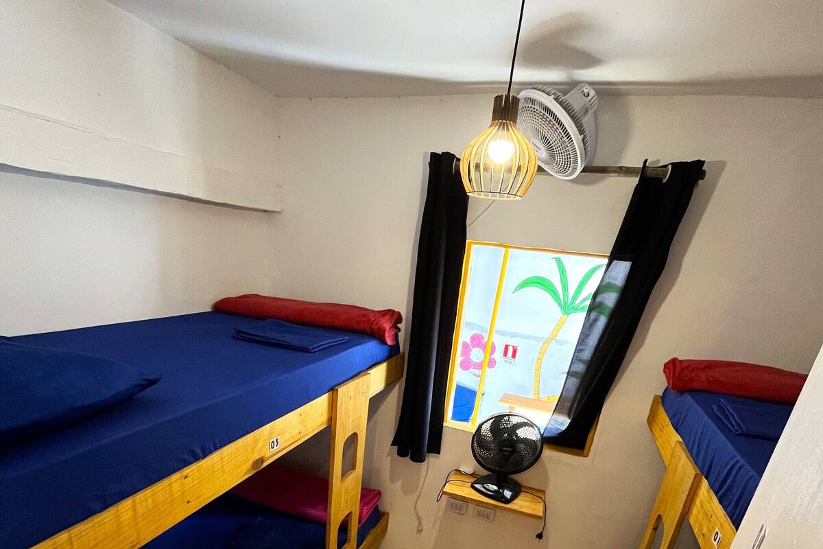 A dormitory room with bunk beds, a ceiling fan, and a window with a view of palm trees.