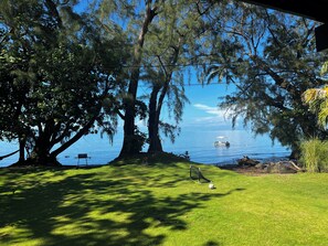 A grassy area with trees and a body of water. - Teahupoo: beachfront, the lagoon and the wave, at the foot of the mountains ! (teahupoo)