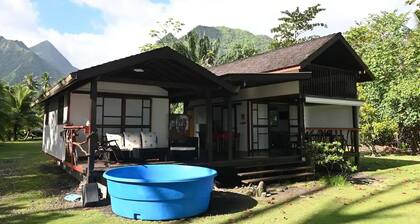 Teahupoo: beachfront, the lagoon and the wave, at the foot of the mountains !