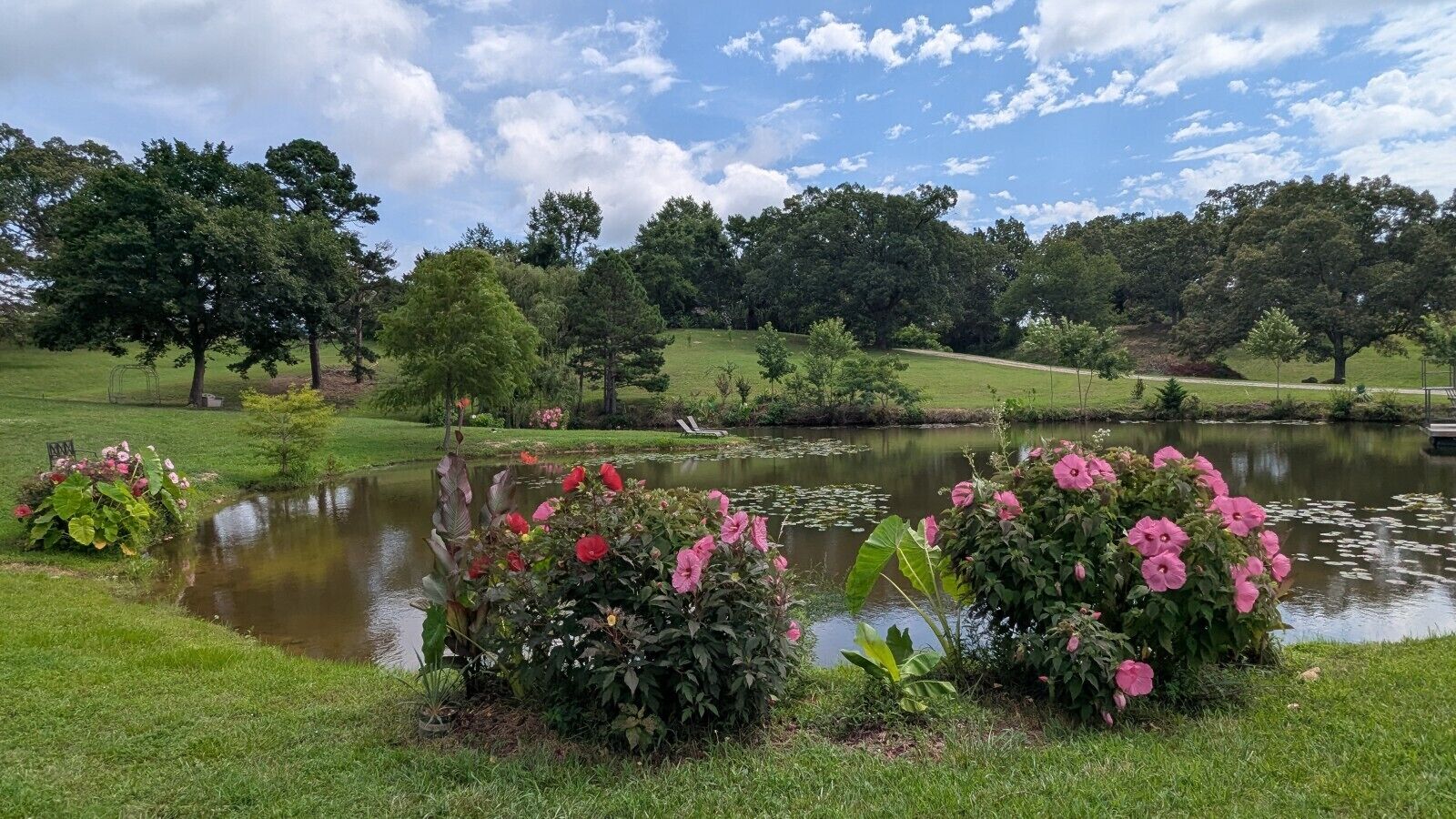 Jardines del alojamiento