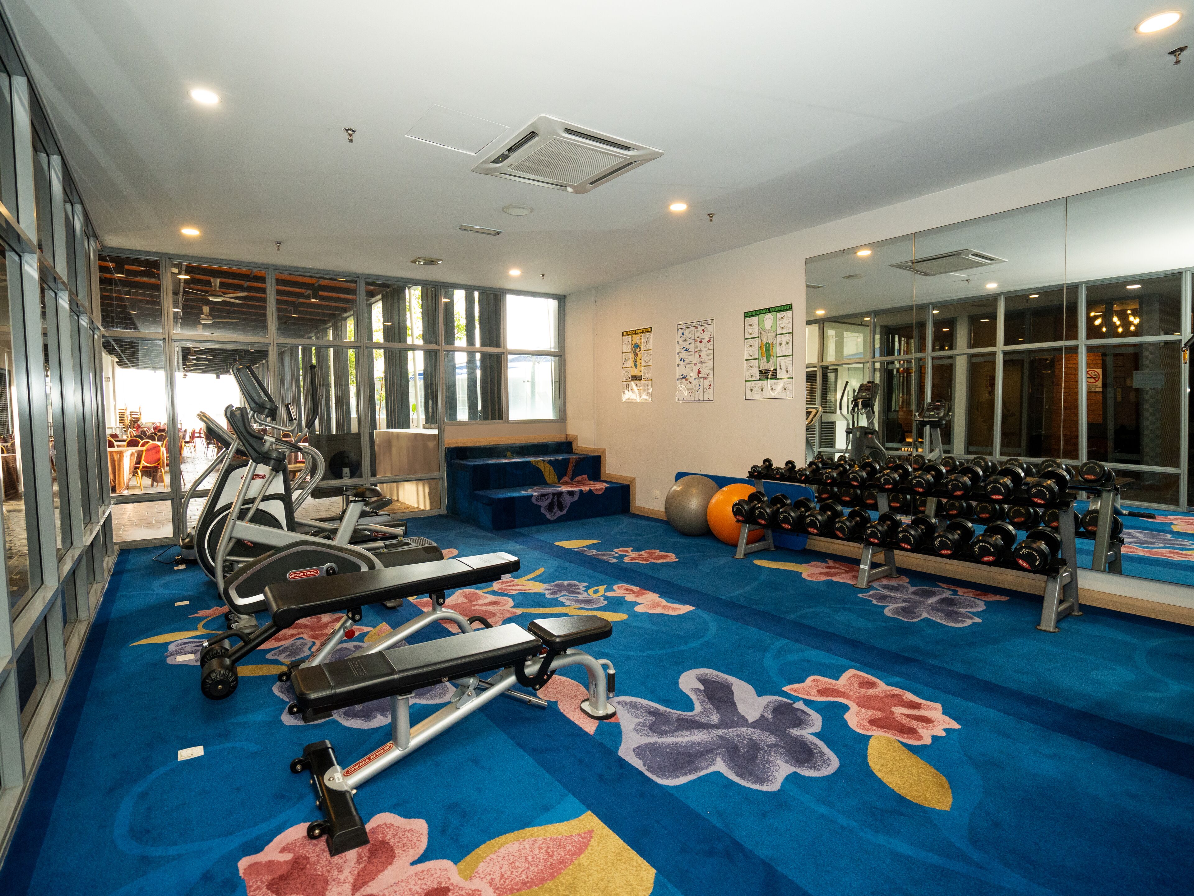 A gym with treadmills, a bench press, dumbbells, and exercise balls.