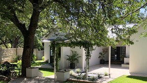 A courtyard with a white building, a tree, and potted plants. - Luxury 5 roomed Villa with A/C, swimming pool etc. in Victoria Falls, Zimbabwe (Victoria Falls)