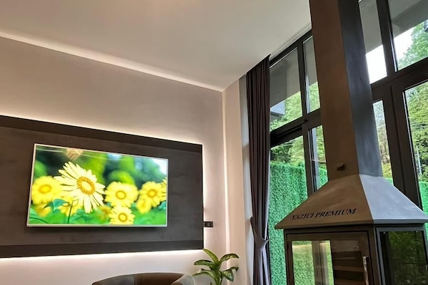 65-inch TV with satellite channels, fireplace, Netflix