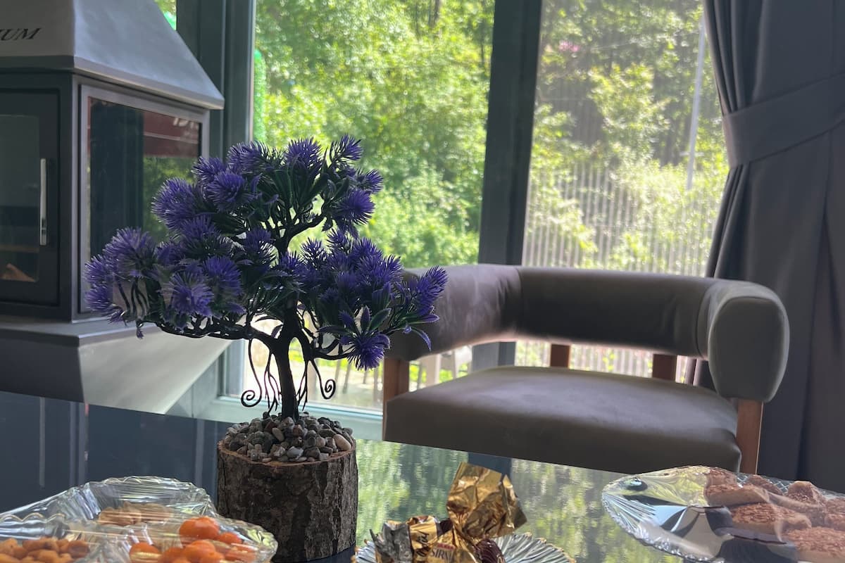 Quarto com mesa de vidro exibindo petiscos, um bonsai e vista para o verde através de amplas janelas.