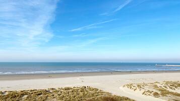 Vlak bij het strand