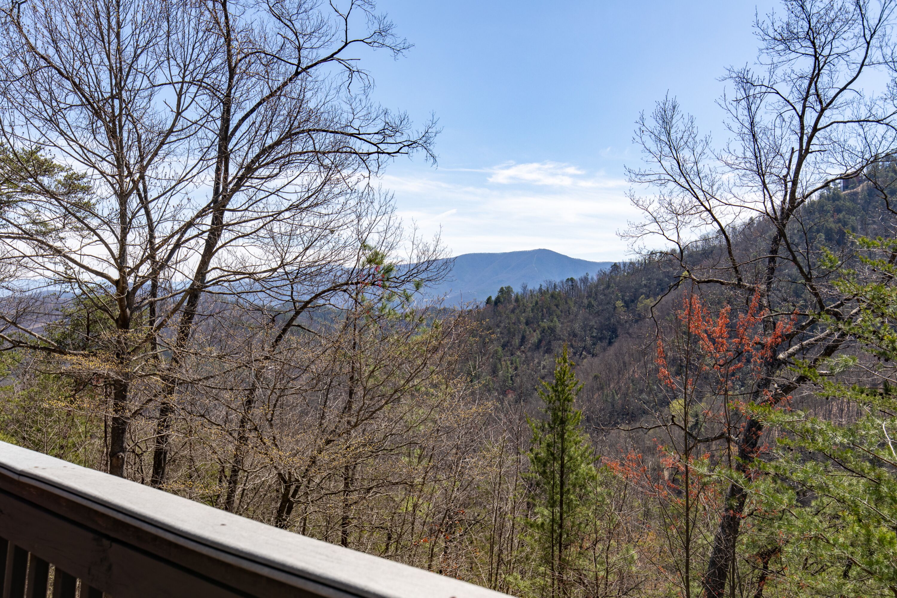 A mountainous landscape with trees and a clear sky.