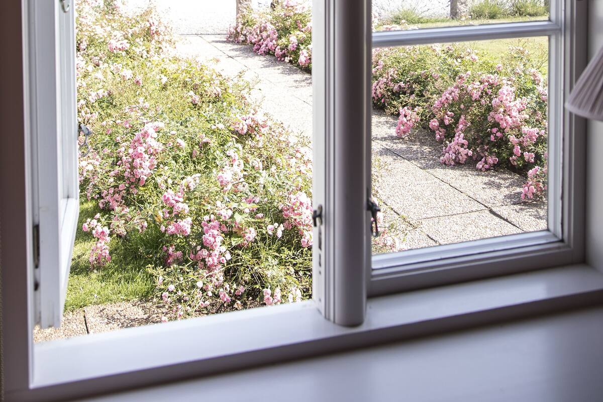 Blick durch ein Fenster mit weißem Rahmen auf einen Garten mit rosa Blumen und einem großen Baum.
