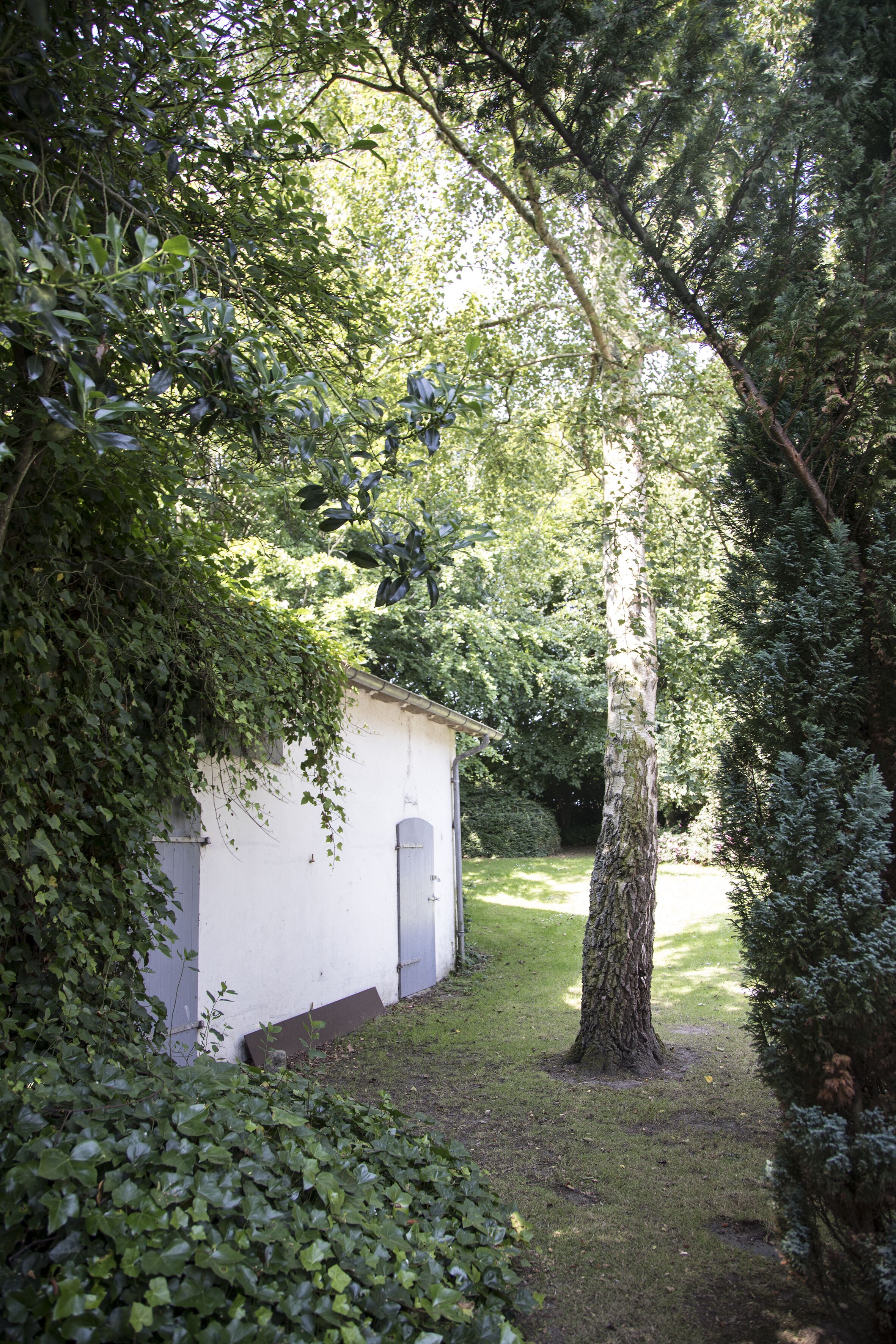 Un pequeño edificio blanco con una puerta y ventana, rodeado de abundante follaje y árboles.