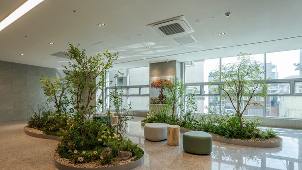 Un vestíbulo amplio con piso pulido, ventanas grandes y varios maceteros con plantas.