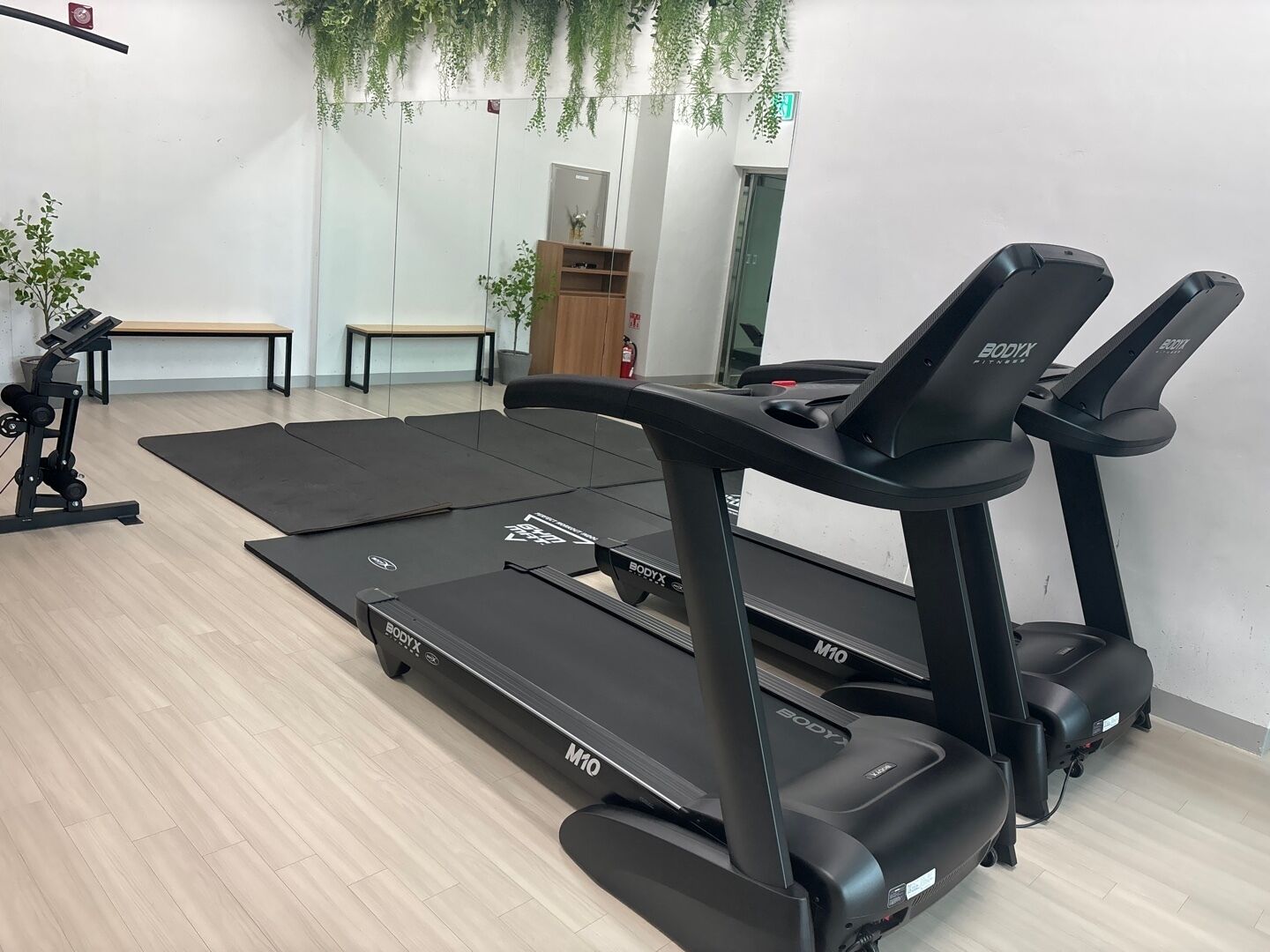 Uma academia com esteiras, bicicleta ergométrica e remo.