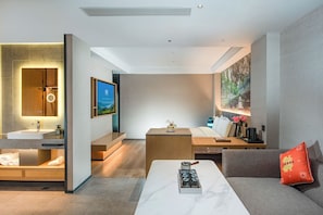 Premium-Studiosuite, 1 King-Bett, Stadtblick