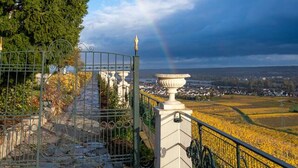 Een verhard pad leidt naar een uitkijkplatform met een balustrade, met uitzicht op een veld met gele bloemen en een stad in de verte.