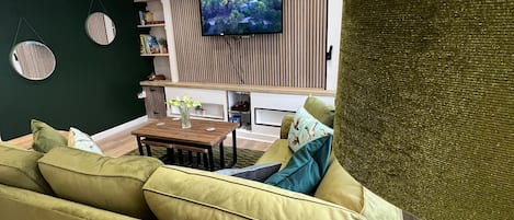 智能电视、电子游戏、DVD 播放器、书