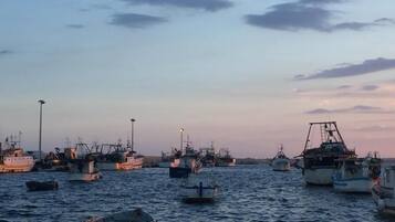 A harbor with multiple fishing boats docked at low tide.