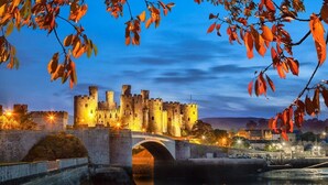 A medieval castle with a stone bridge over a river, surrounded by autumn foliage.