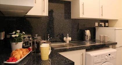 The Eisteddfod - Berwyn House | Central Wrexham