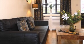 Fernseher, Arbeitsbereiche