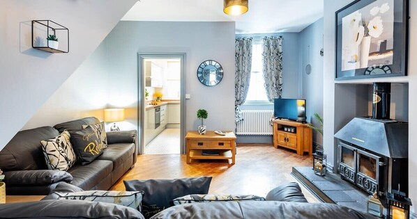 Fernseher, Arbeitsbereiche