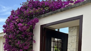 A building entrance with a black gate, a stone wall, and purple flowers. - Villa Nausicaa, Aphrodite Hills Golf Resort, Private Heated Pool With Jacuzzi (Kouklia)