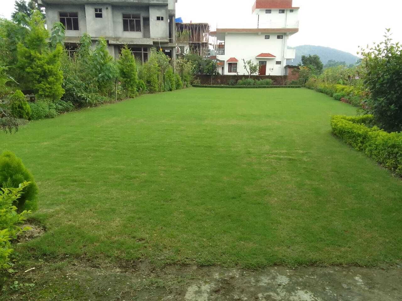A well-maintained lawn with a building in the background.