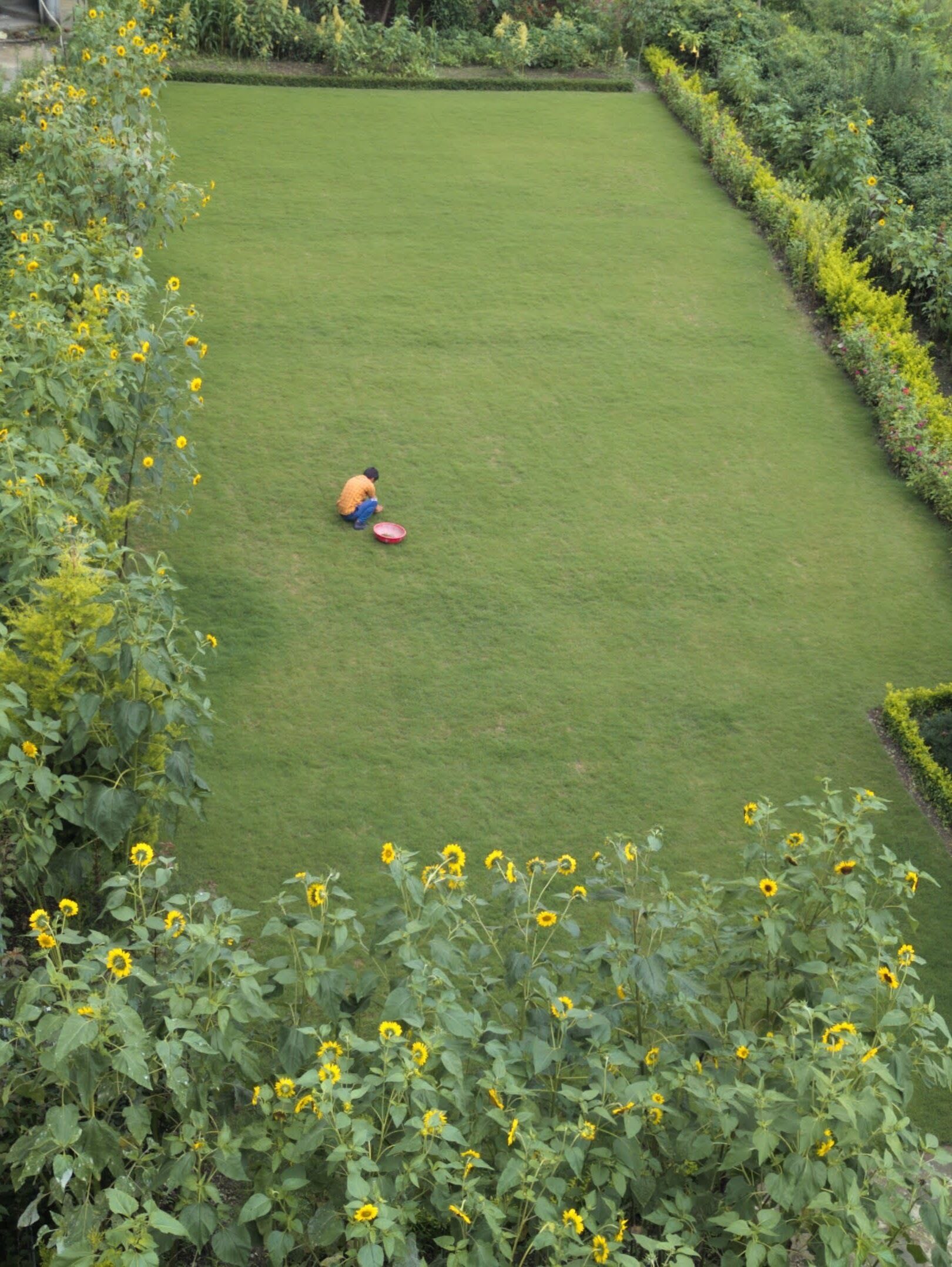 Pemandangan taman