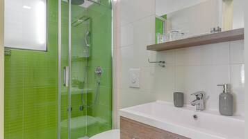 Shower, hair dryer, towels, soap