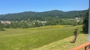 Blick auf ein grünes Feld mit einem Holzzaun und einer fernen Bergkette.
