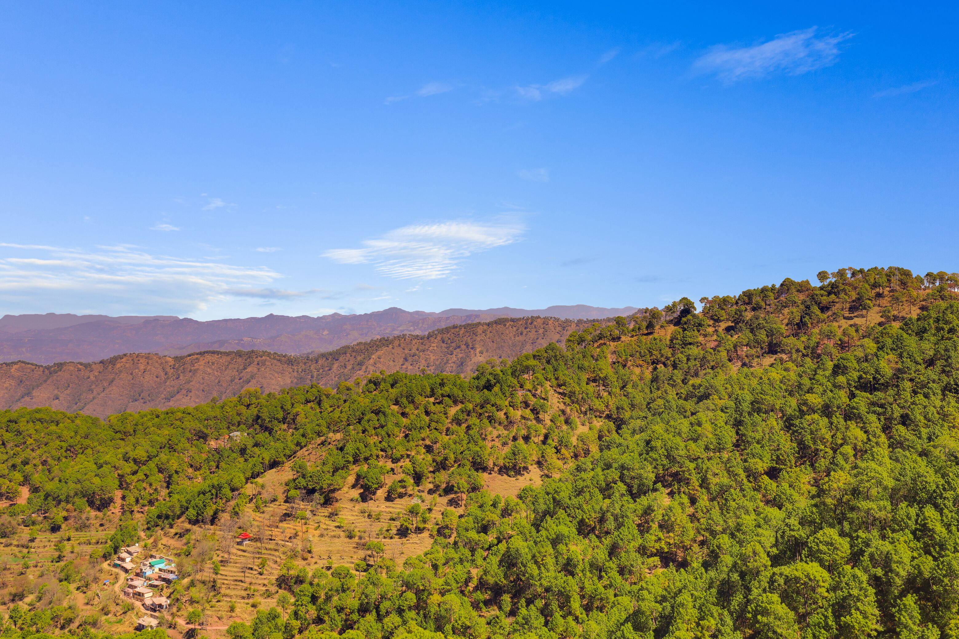 A mountainous landscape with dense green forests and a small village with houses.