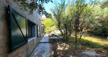 5 Bedroom Private vacation home in St. Hilary
