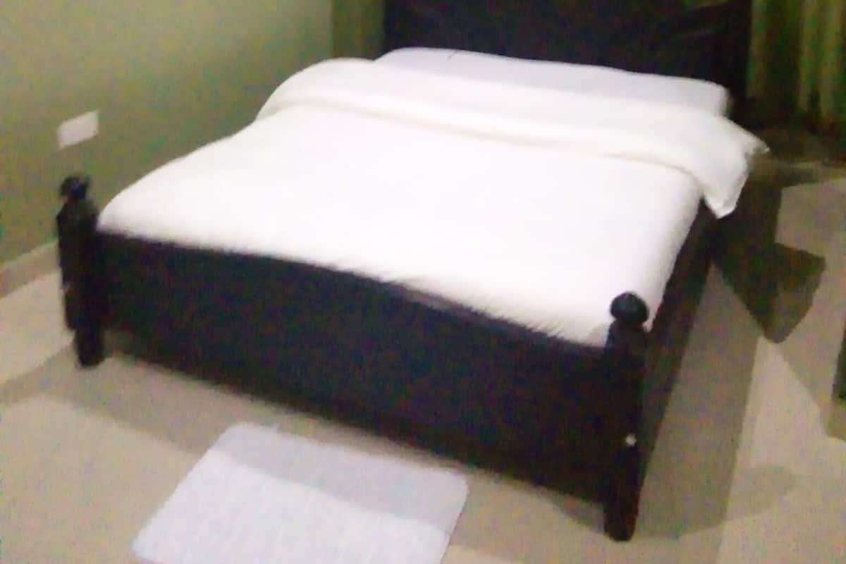 Habitación individual básica | Wifi gratis