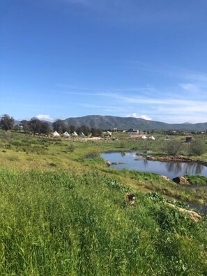 Miscellaneous - Lago Valle Wine Glamping (Valle de Guadalupe)