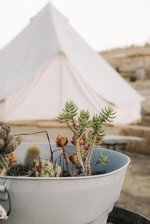 Food and drink - Lago Valle Wine Glamping (Valle de Guadalupe)