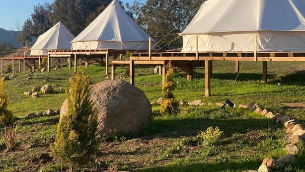 Three white tents with wooden frames on a grassy field with trees in the background.