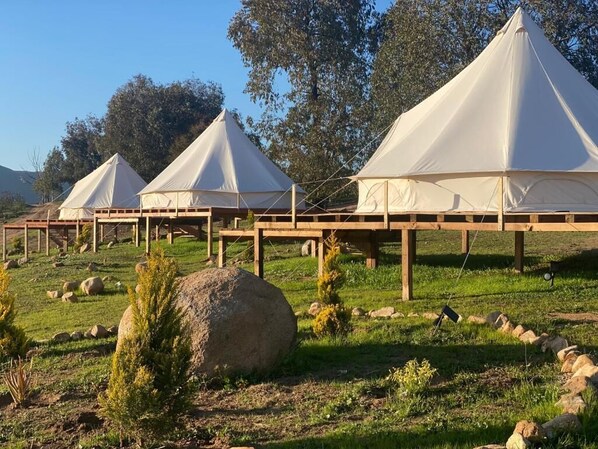 Property grounds - Lago Valle Wine Glamping (Valle de Guadalupe)