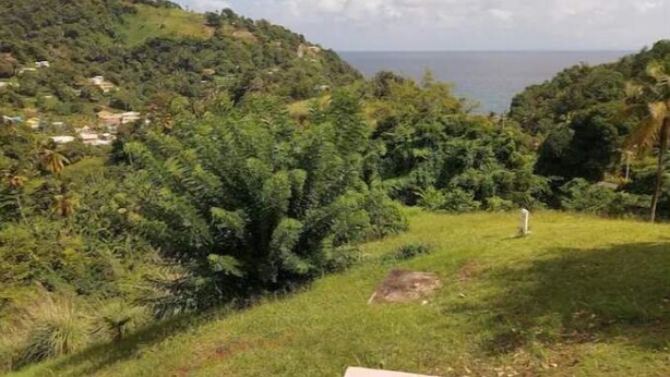 Une piscine offrant une vue dégagée sur la mer et un paysage luxuriant en arrière-plan.