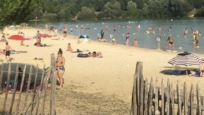 A beach with people sunbathing and swimming, surrounded by trees and a wooden fence.