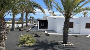 A modern white building with a patio area, surrounded by palm trees and a view of the sea.