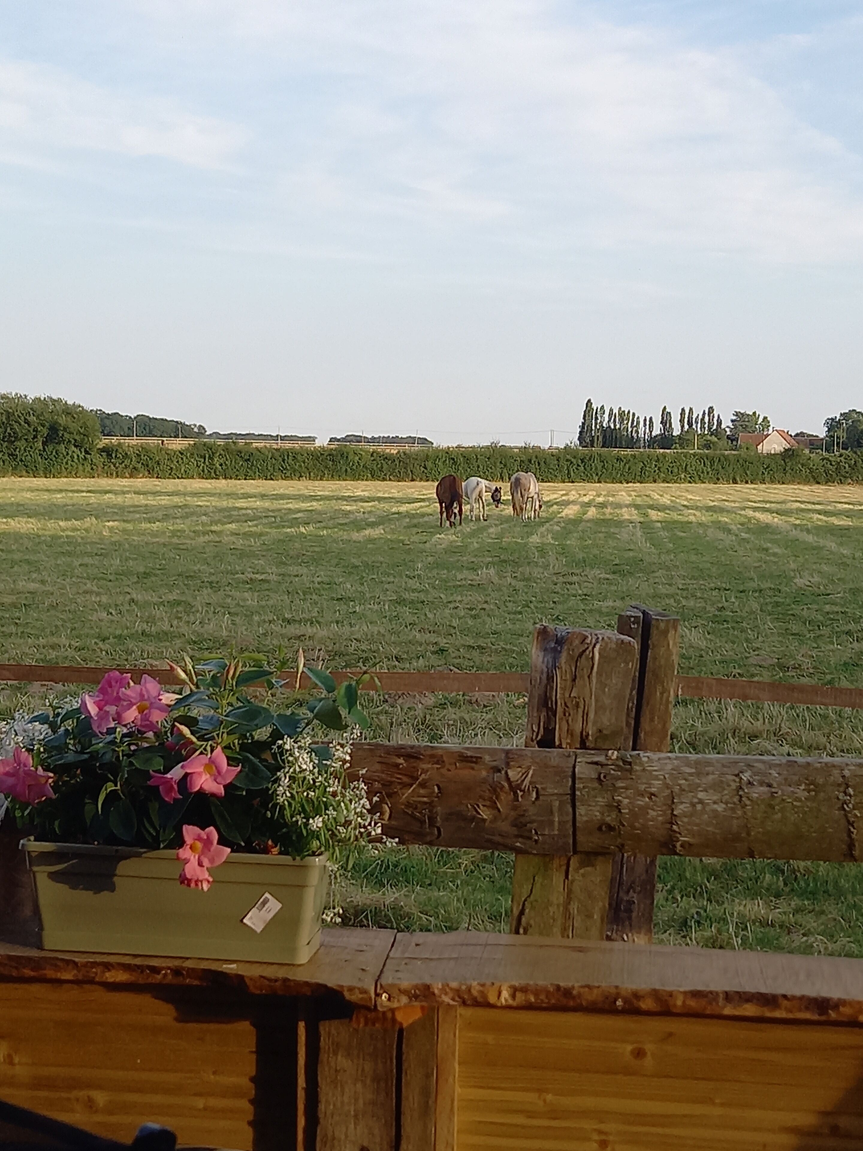 A wooden fence with a flower box in the foreground.