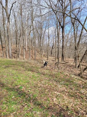 Terrain de lâhĂ©bergement